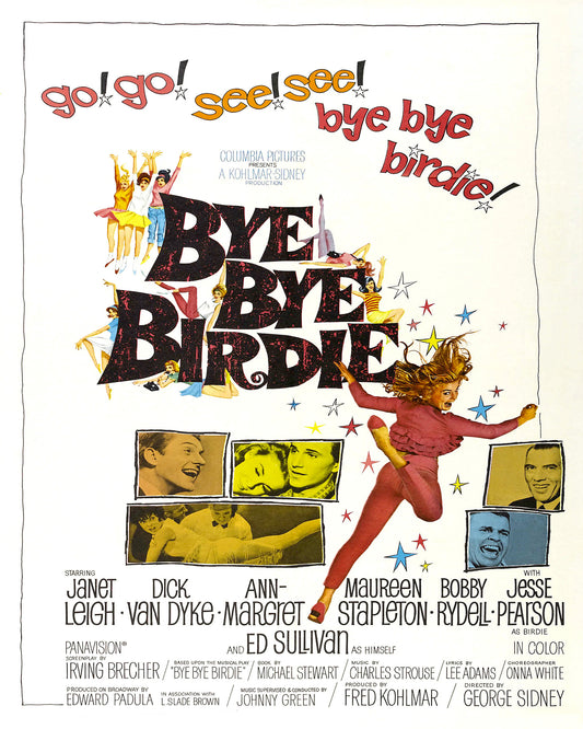 Bye Bye Birdie 1963
