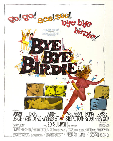 Bye Bye Birdie 1963