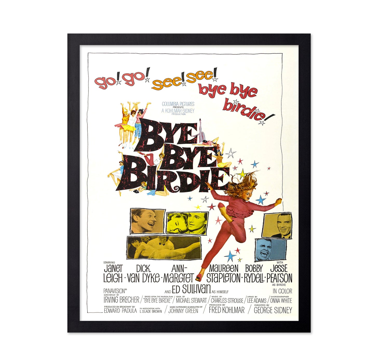 Bye Bye Birdie 1963