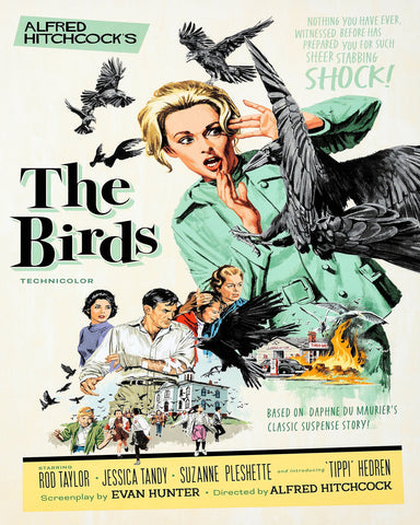 The Birds 1963