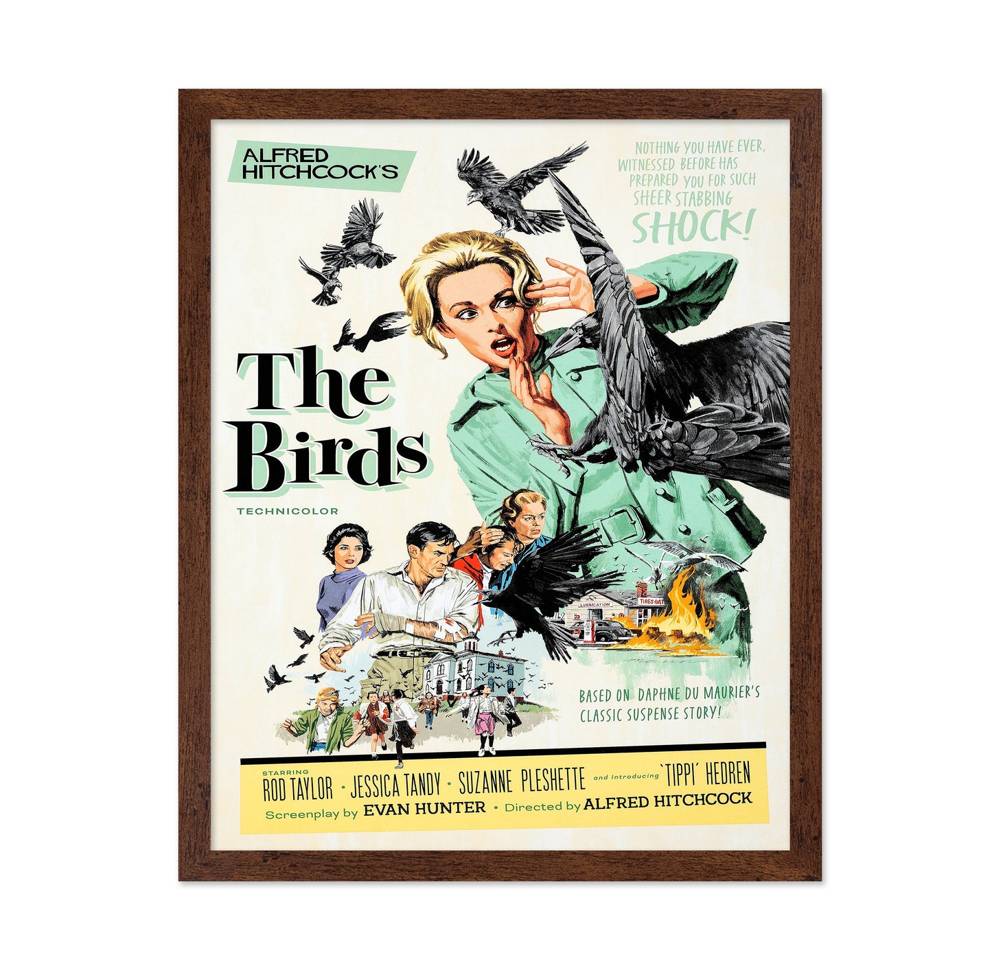The Birds 1963
