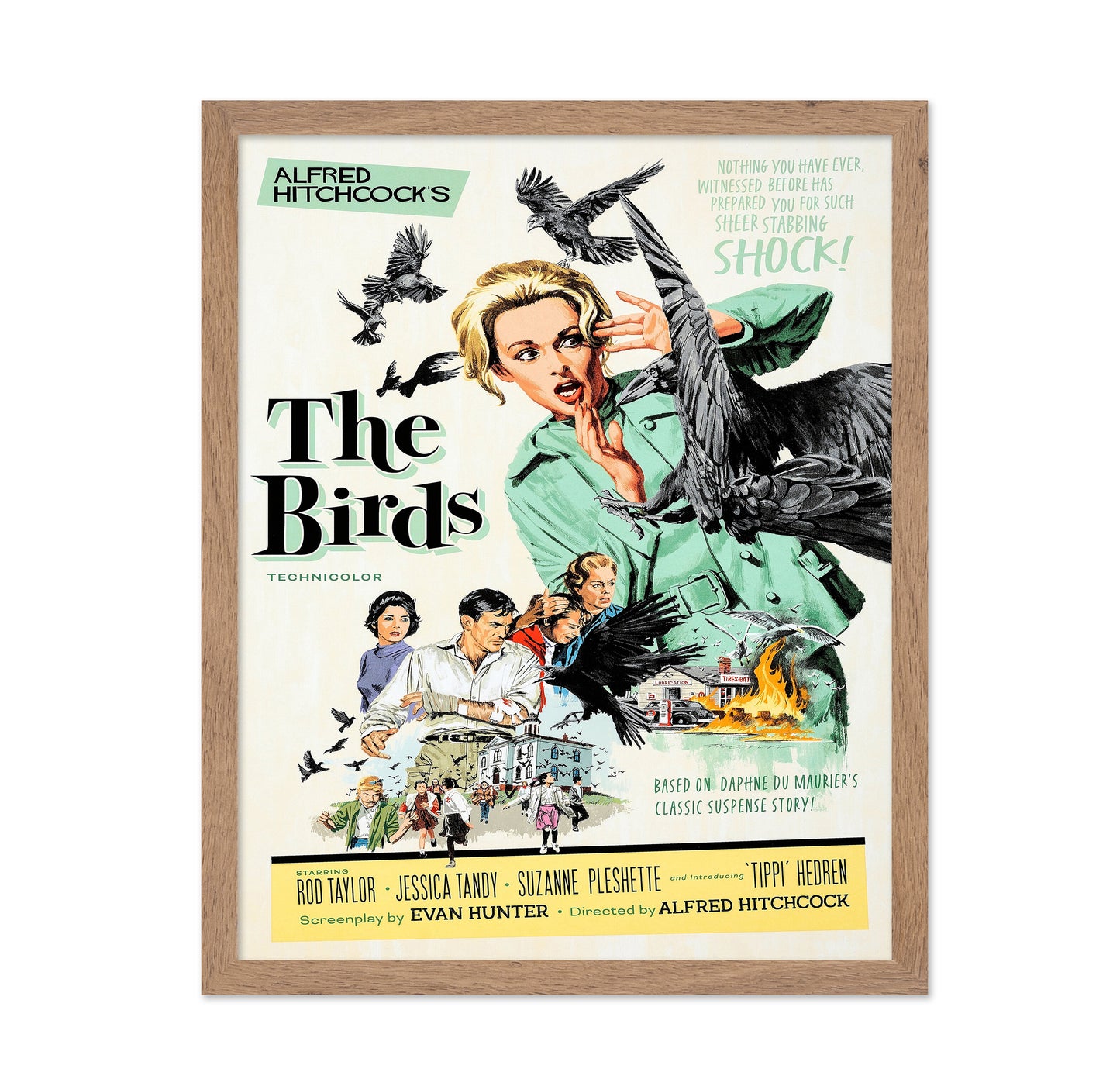 The Birds 1963