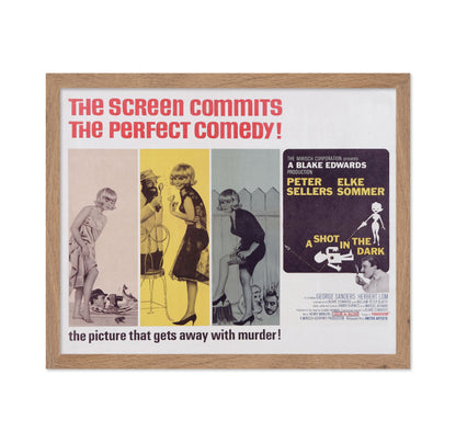 A Shot In the Dark 1964
