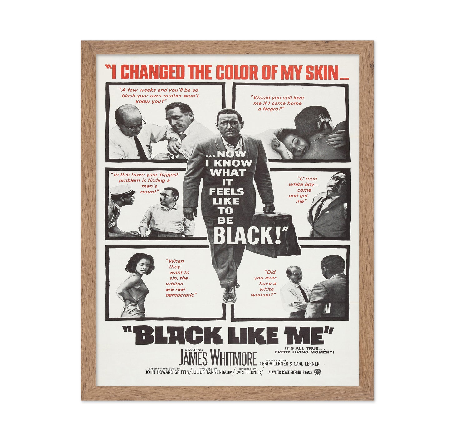 Black Like Me 1964