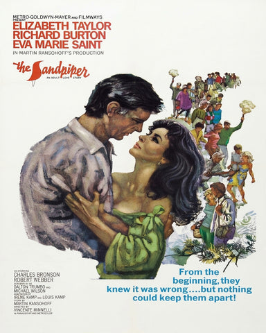 The Sandpiper 1965