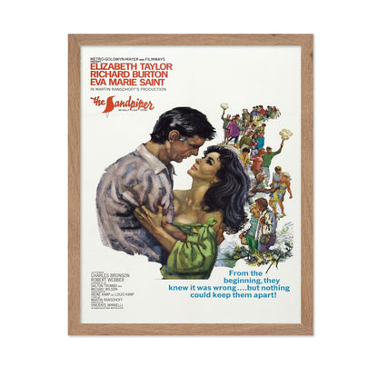 The Sandpiper 1965