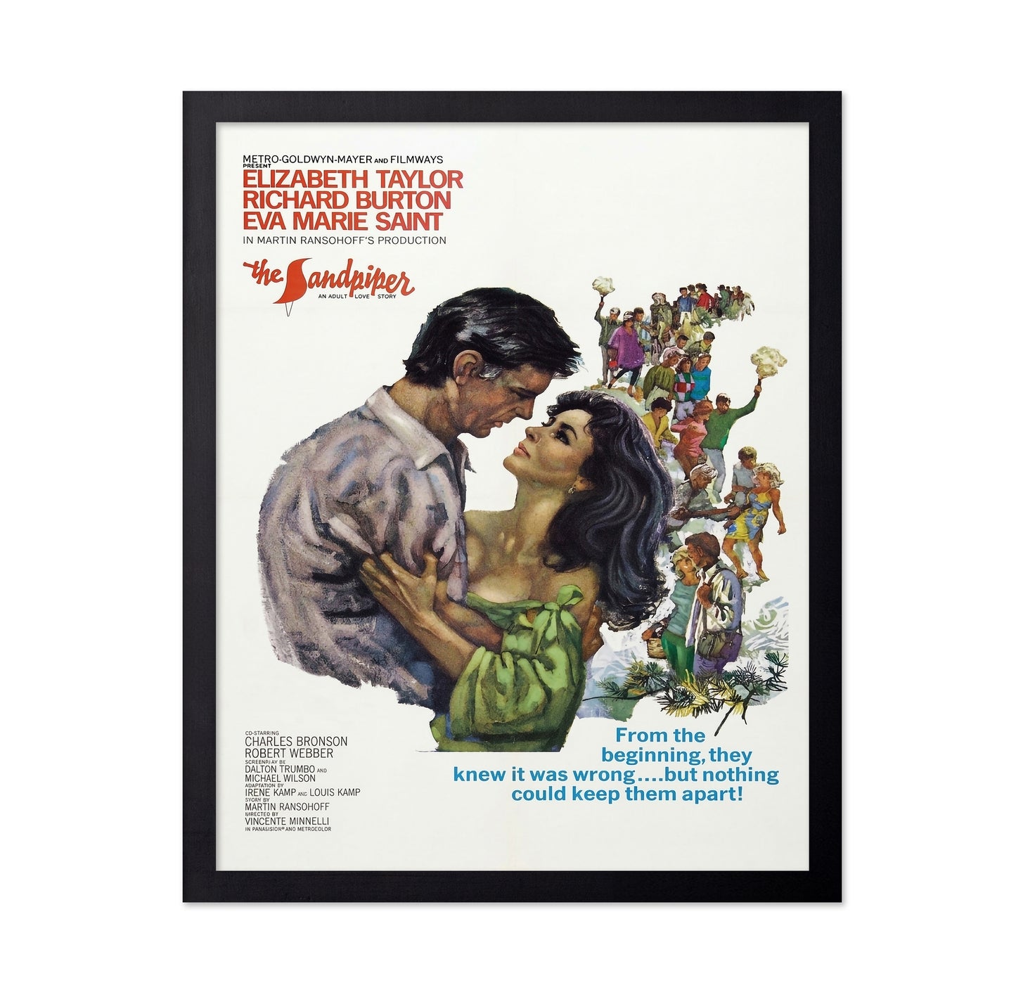 The Sandpiper 1965