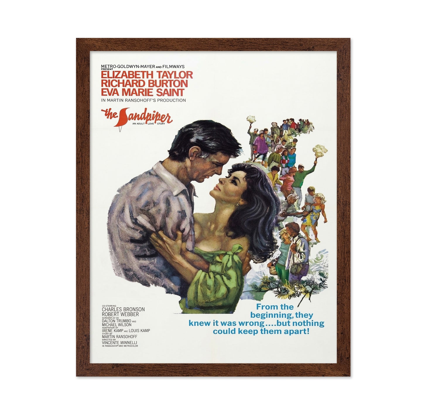 The Sandpiper 1965