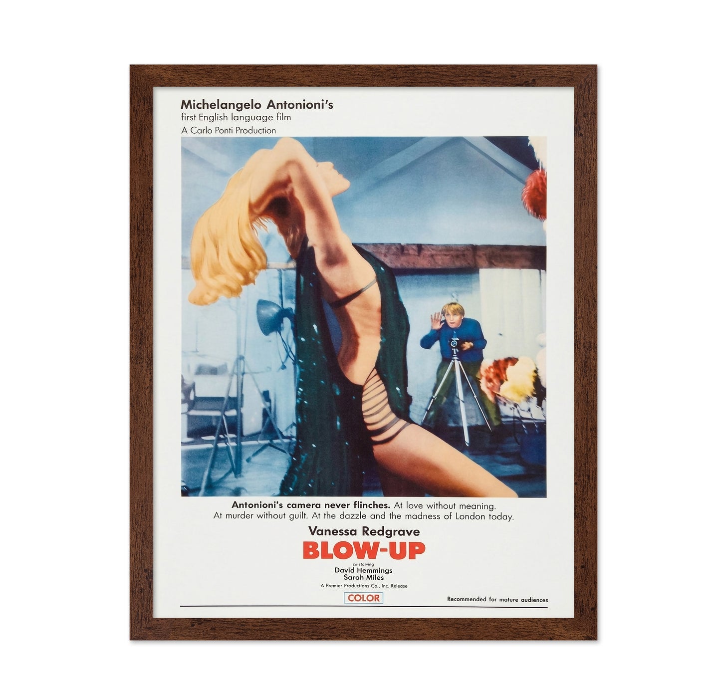 Blow Up 1966