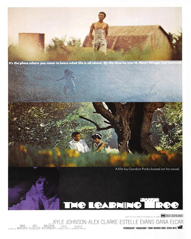 The Learning Tree 1969