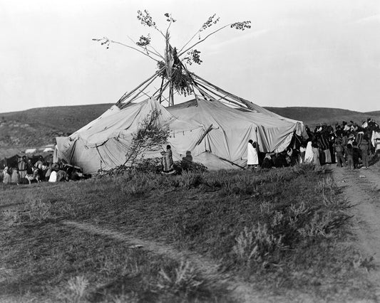 Cheyenne Sun Dance 1910
