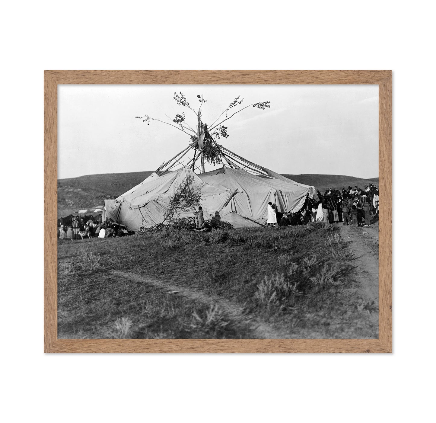 Cheyenne Sun Dance 1910