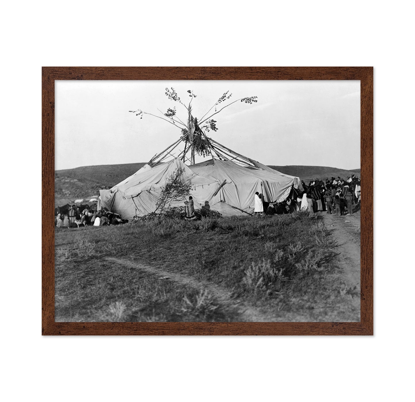 Cheyenne Sun Dance 1910