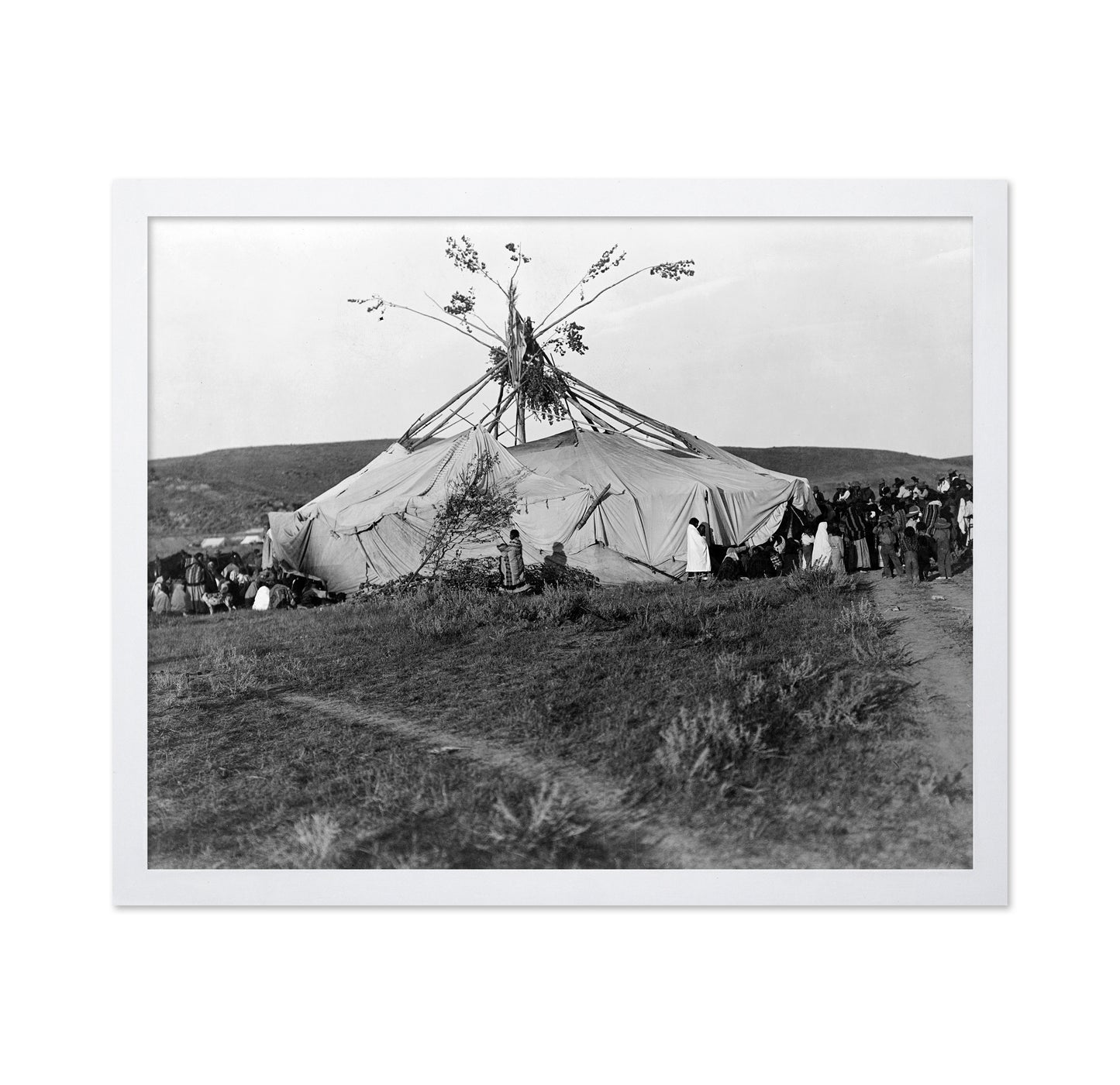 Cheyenne Sun Dance 1910