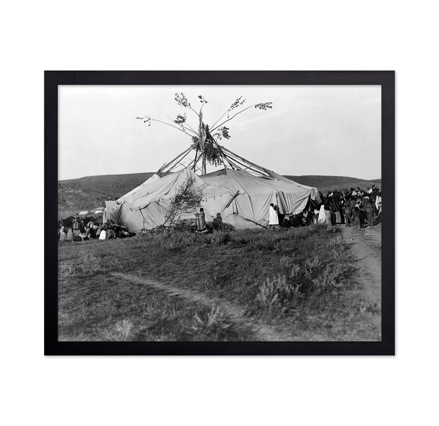 Cheyenne Sun Dance 1910