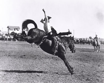 Rodeo Bucking Horse