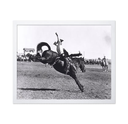 Rodeo Bucking Horse
