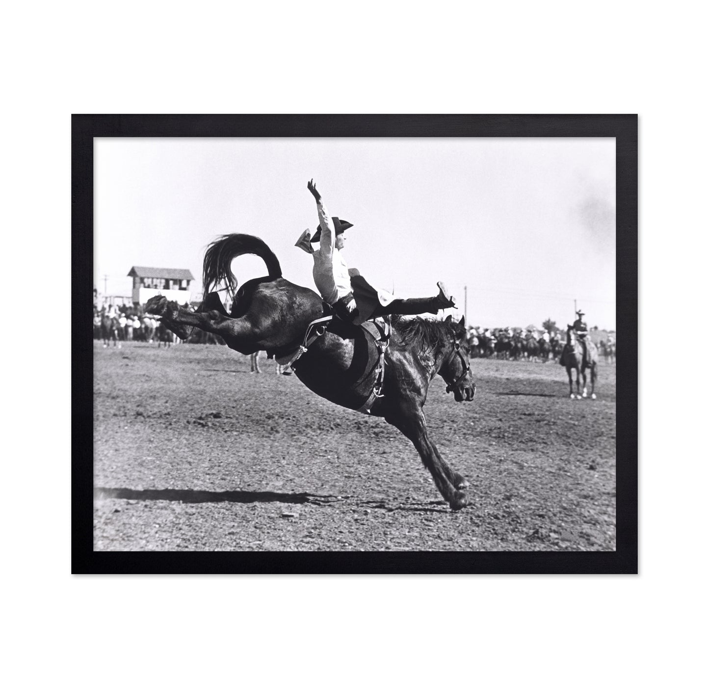 Rodeo Bucking Horse