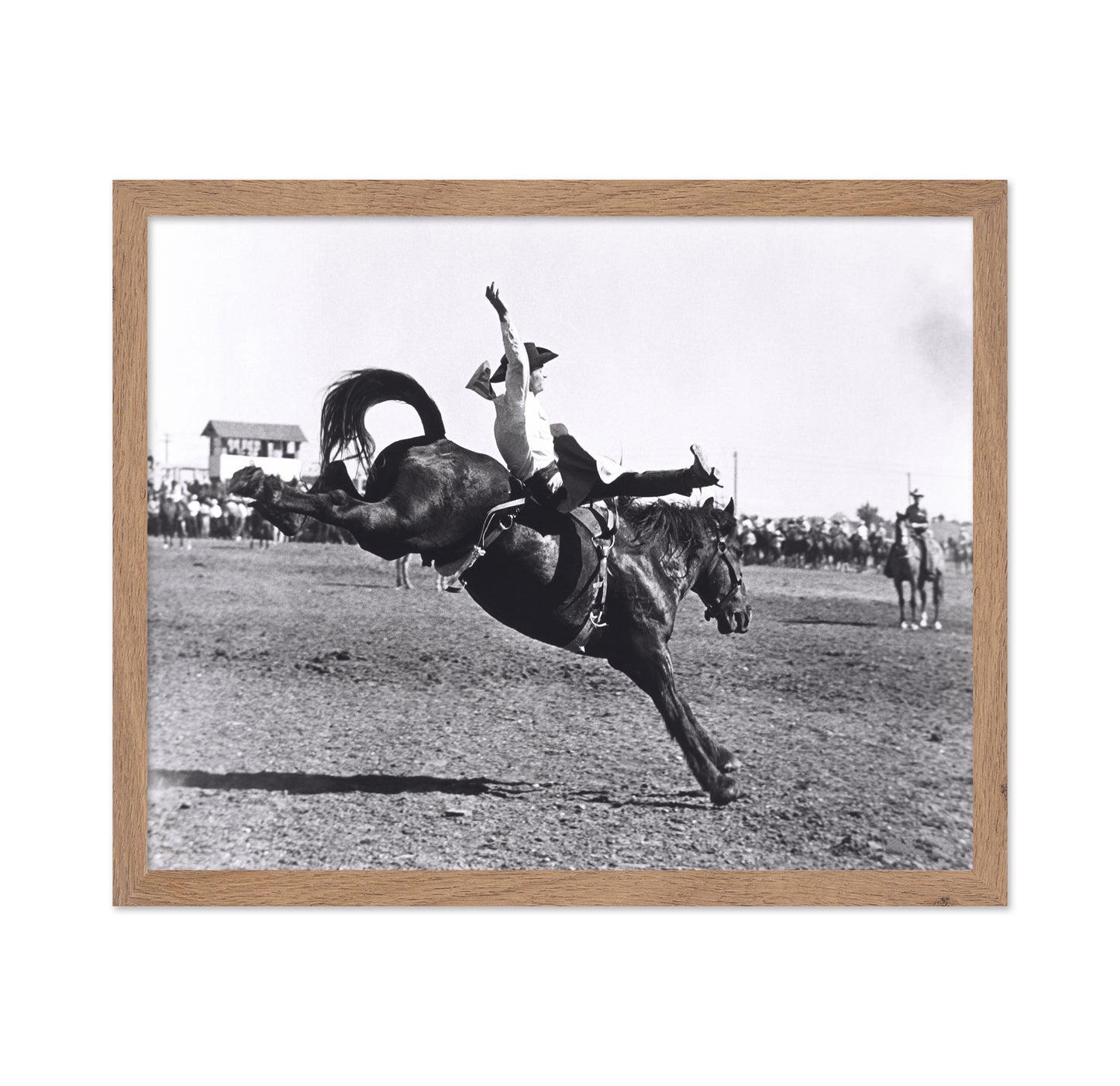 Rodeo Bucking Horse
