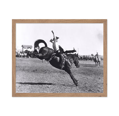 Rodeo Bucking Horse
