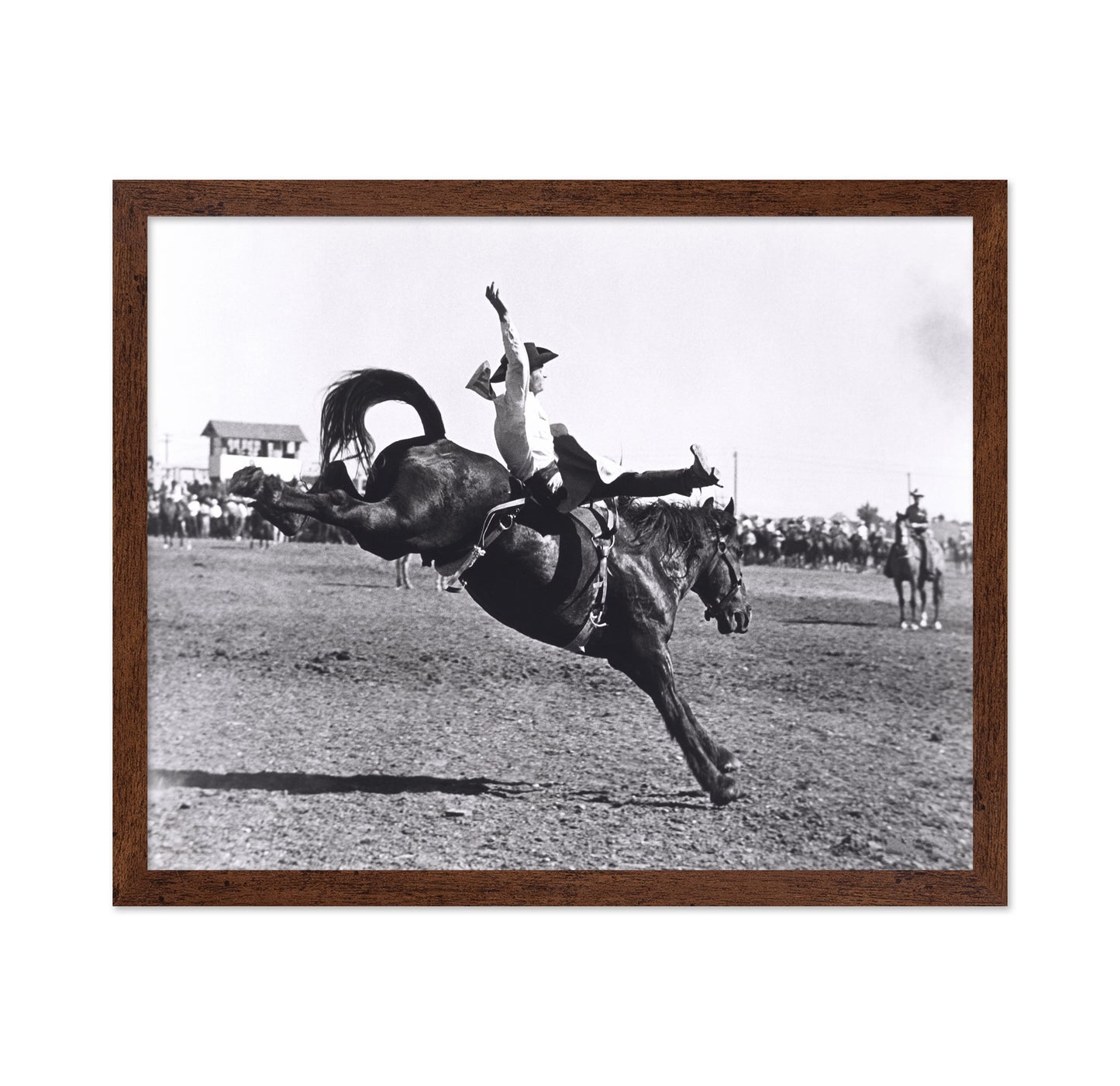Rodeo Bucking Horse