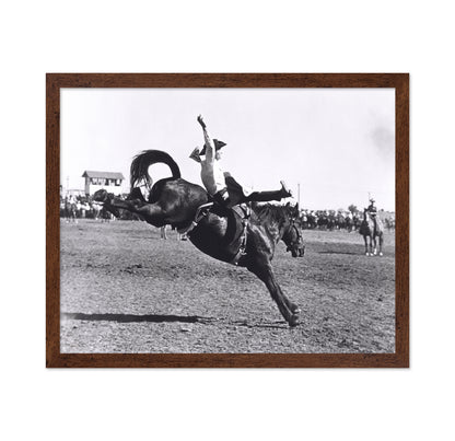 Rodeo Bucking Horse