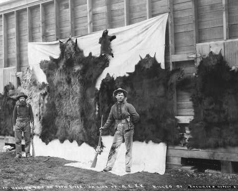 Alaska Hunting Trophy