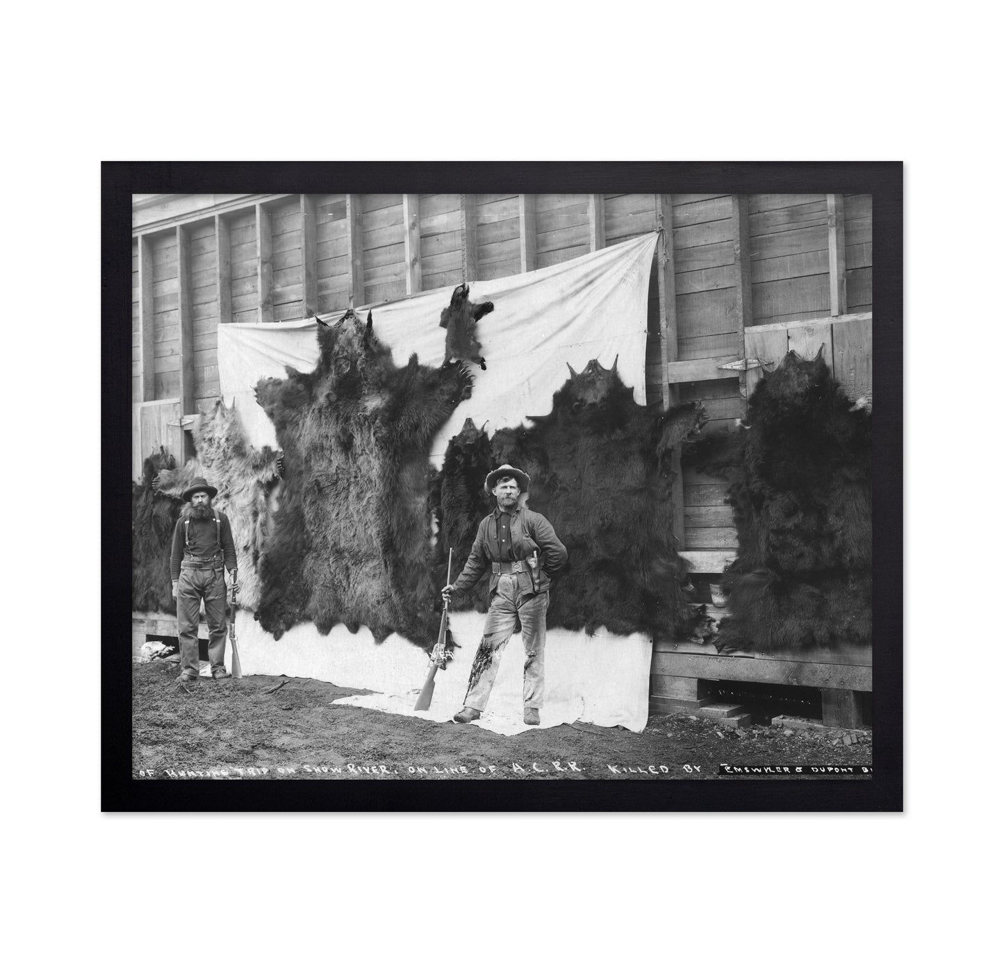 Alaska Hunting Trophy