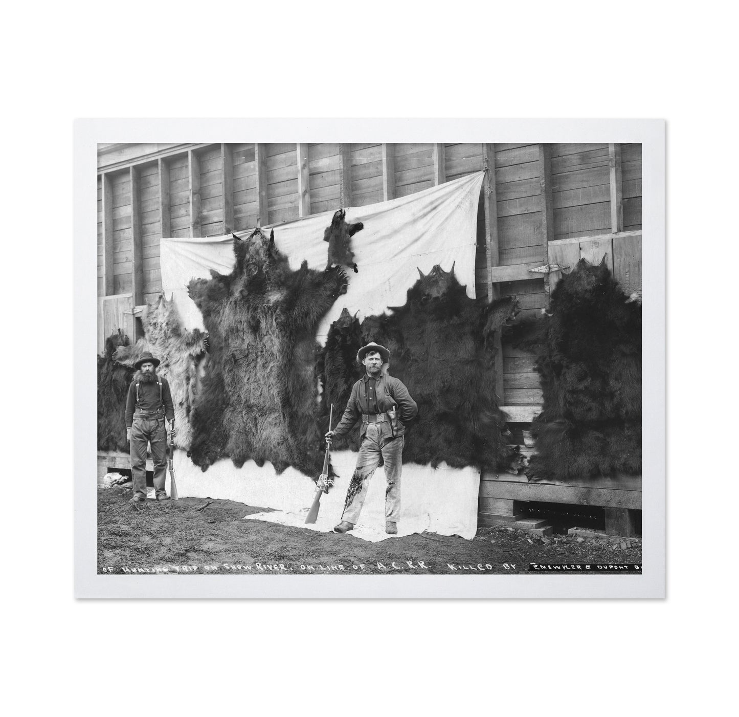 Alaska Hunting Trophy