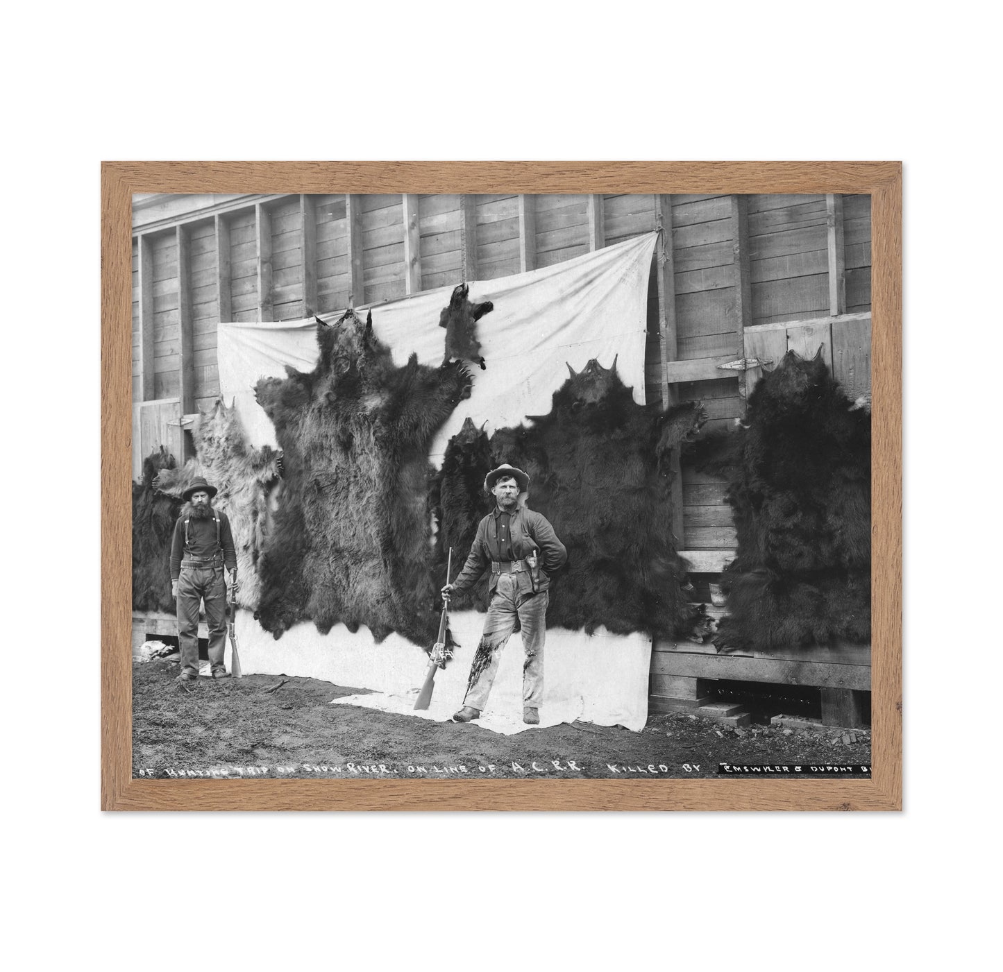 Alaska Hunting Trophy