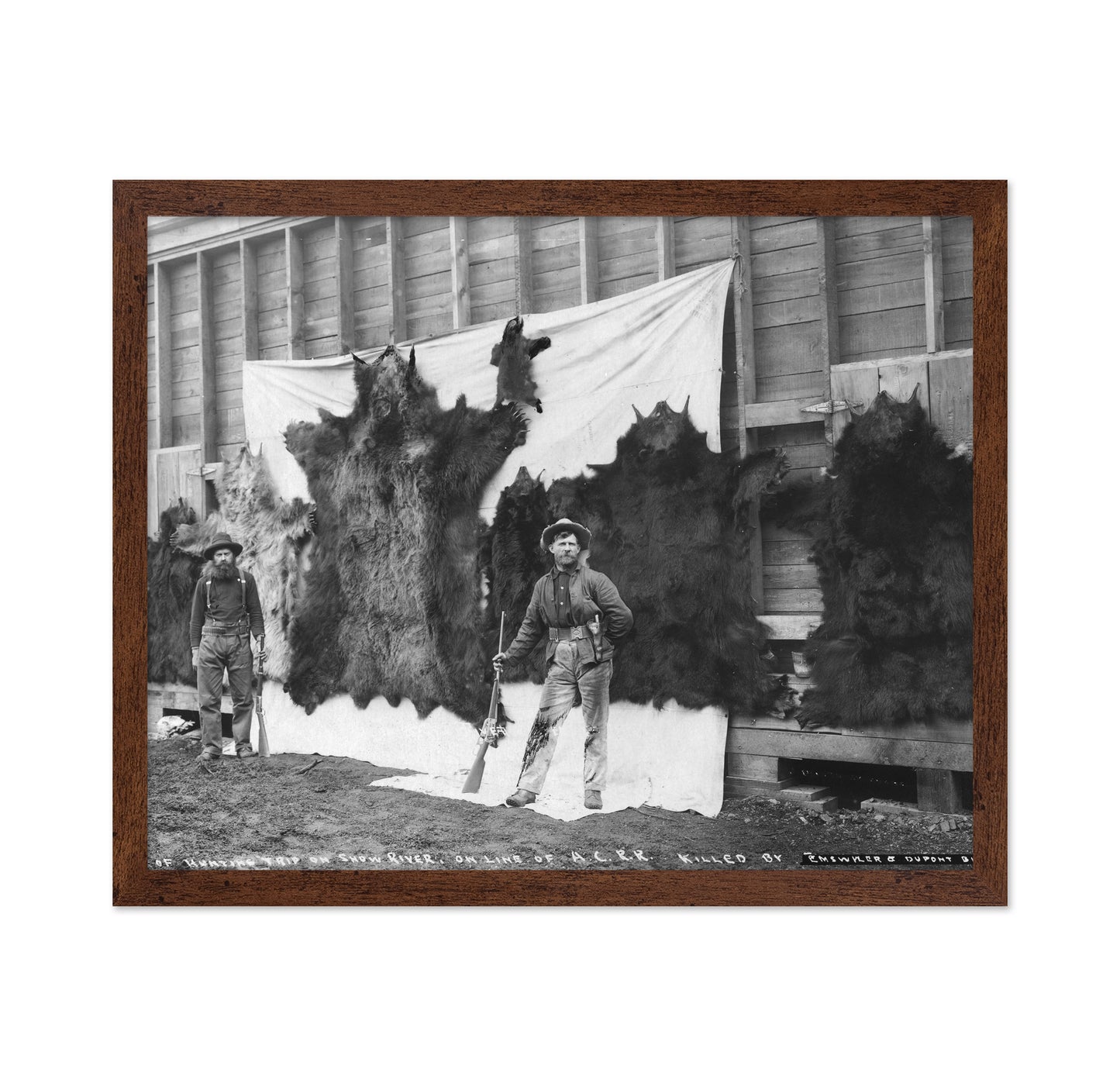 Alaska Hunting Trophy