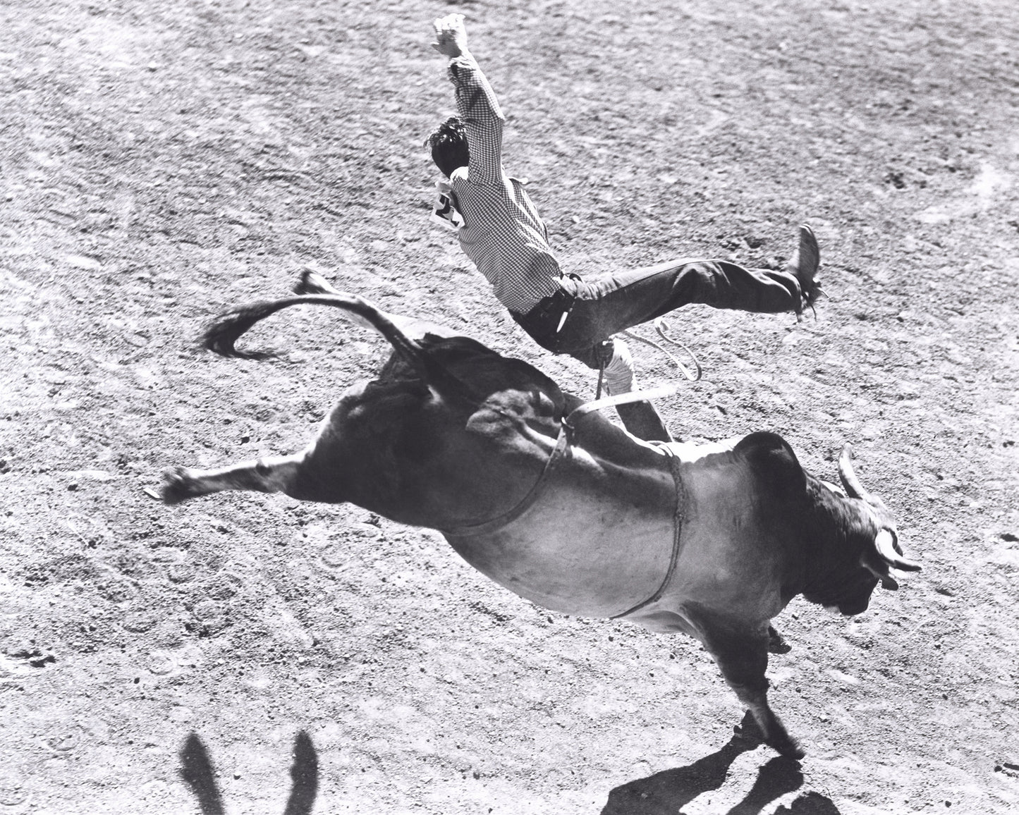 Bronco Buster Rodeo