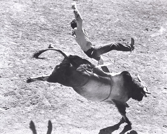 Bronco Buster Rodeo