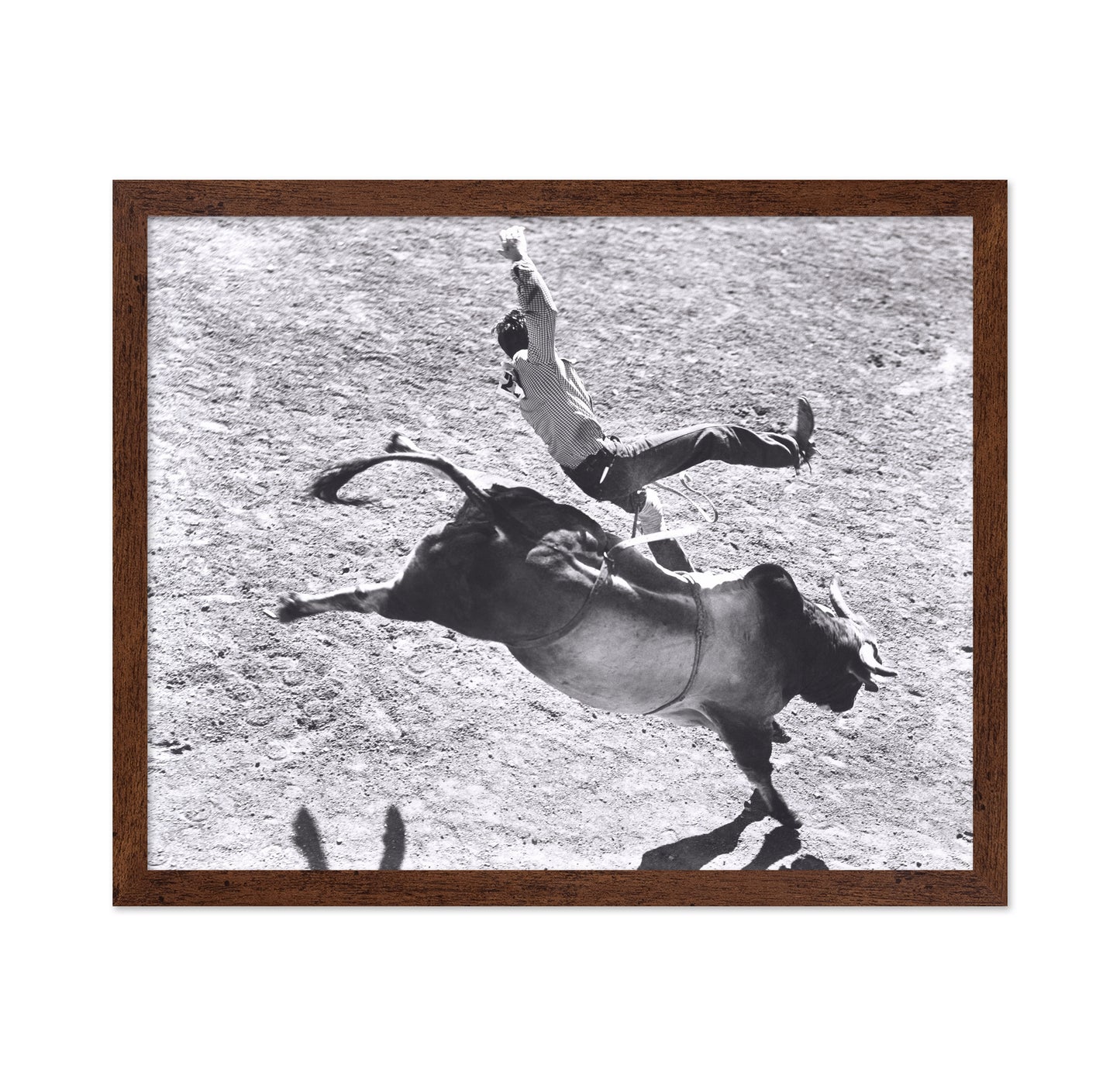 Bronco Buster Rodeo