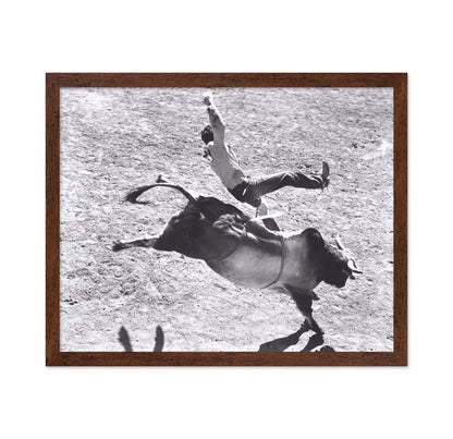 Bronco Buster Rodeo