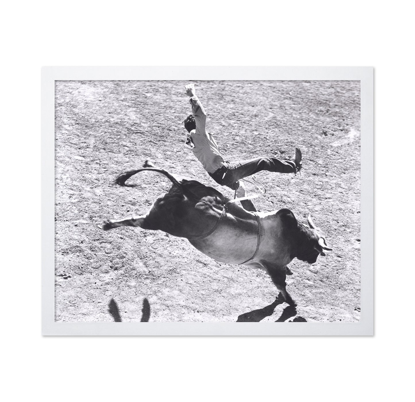 Bronco Buster Rodeo