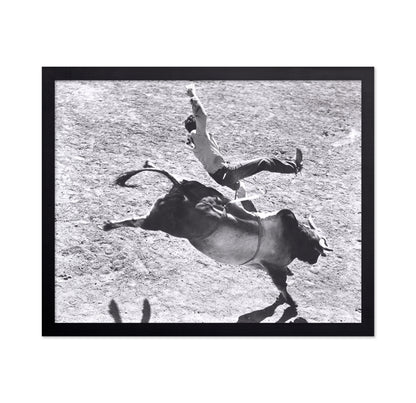 Bronco Buster Rodeo