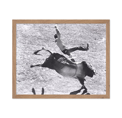 Bronco Buster Rodeo