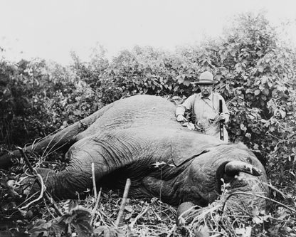 Roosevelt Africa 1910