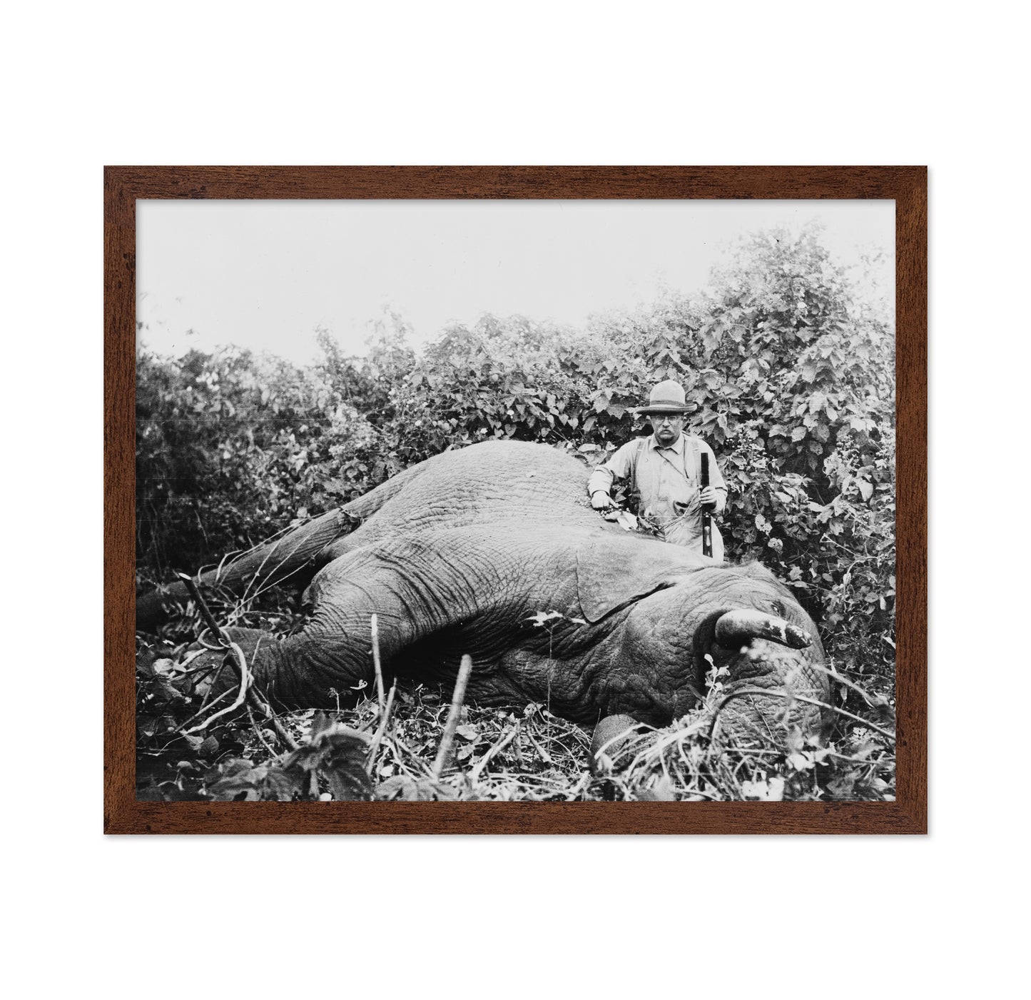 Roosevelt Africa 1910