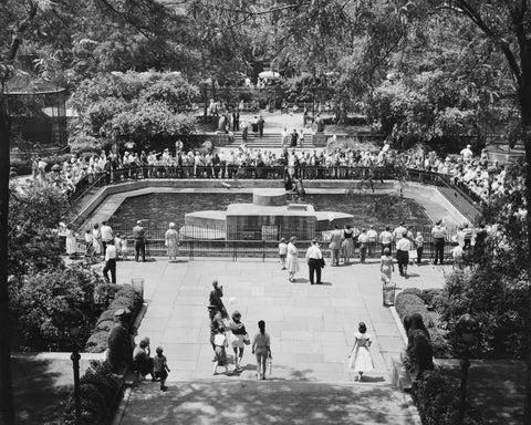 Central Park Zoo Vintage