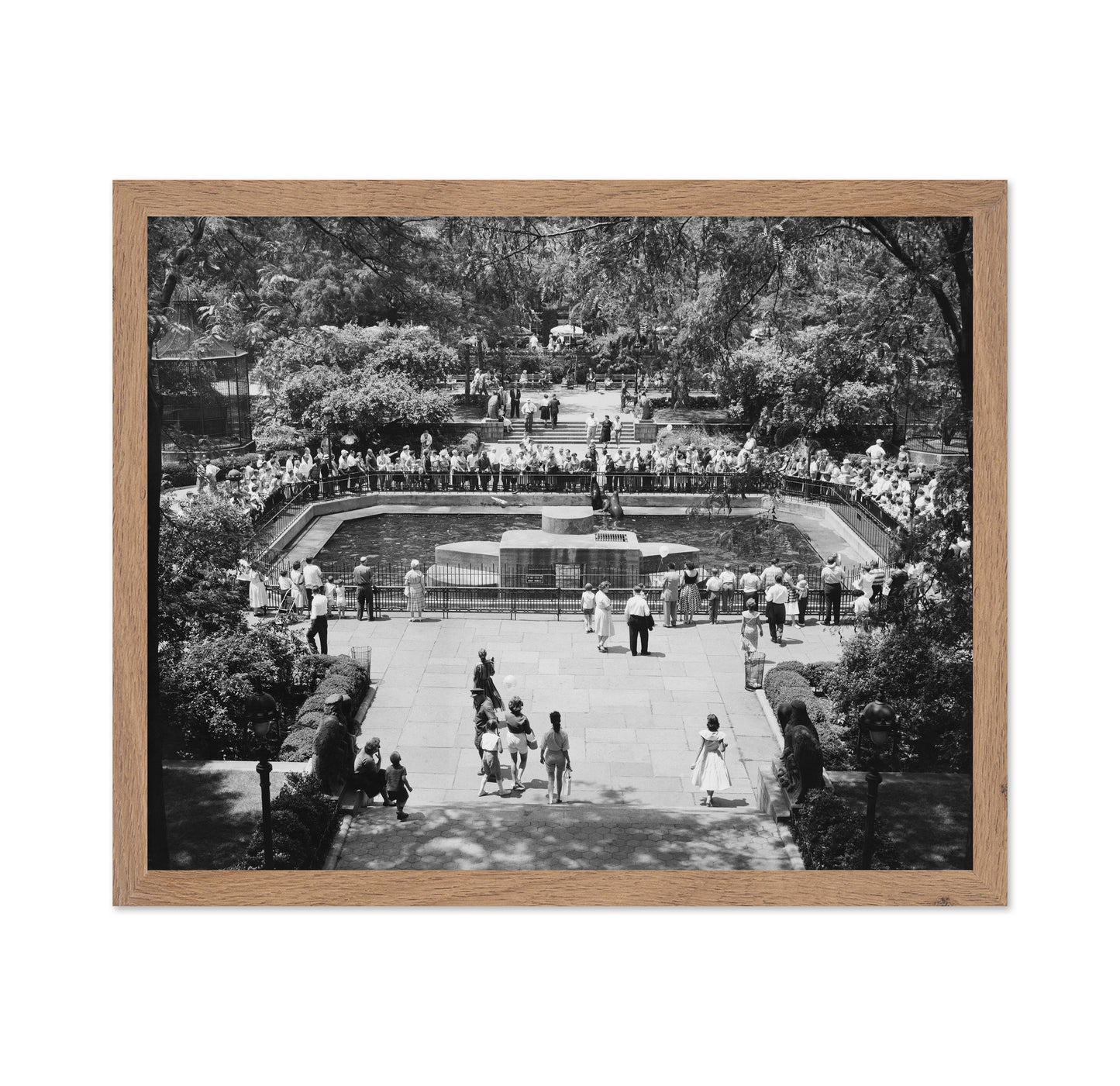 Central Park Zoo Vintage