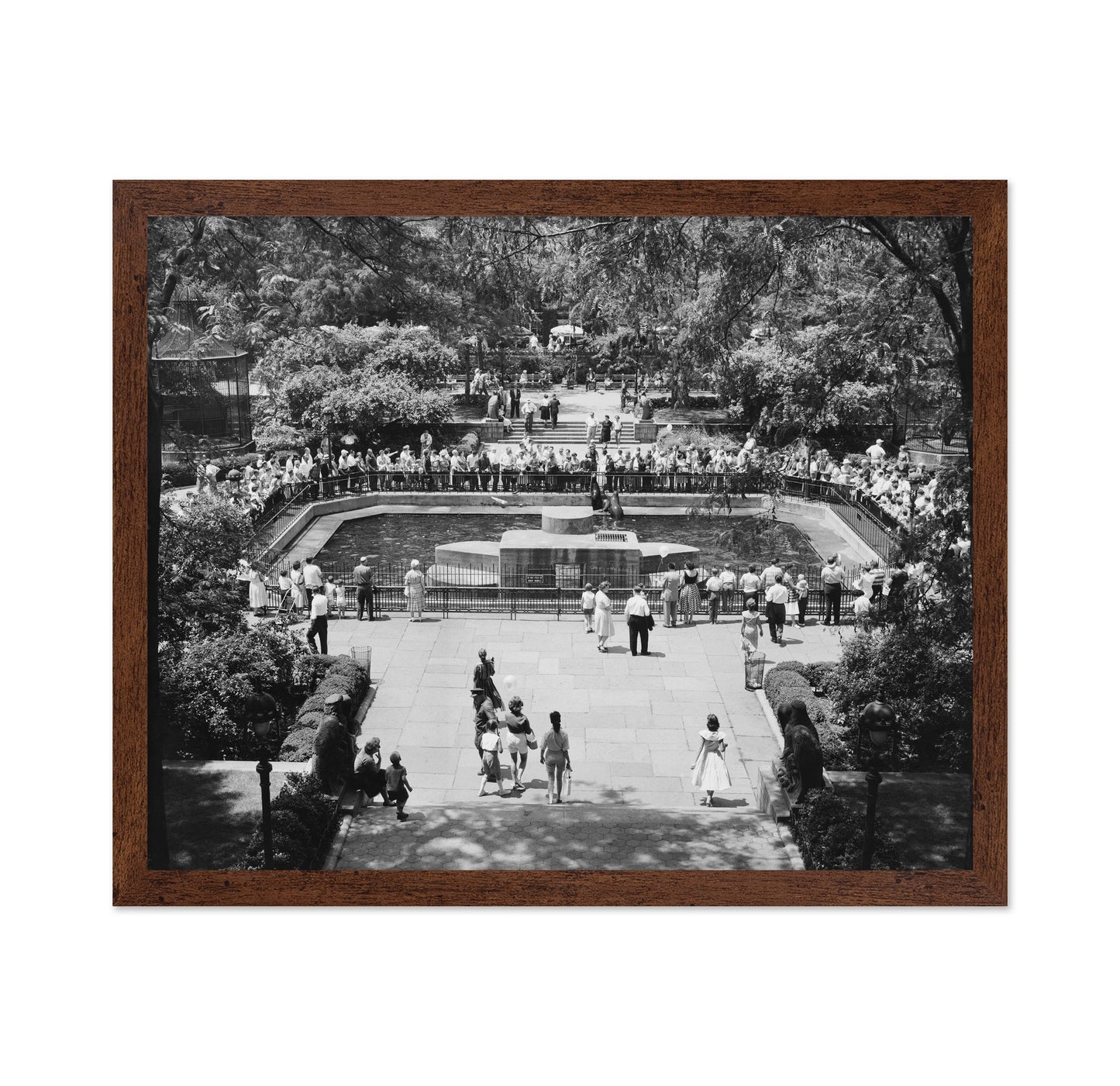 Central Park Zoo Vintage