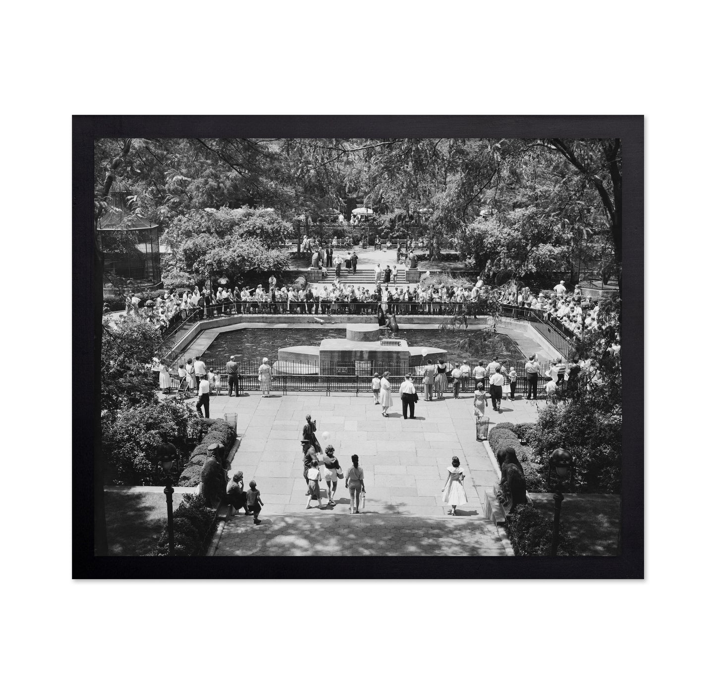Central Park Zoo Vintage