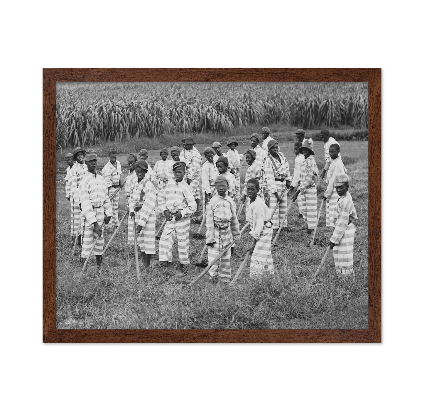 Juvenile Convict Labor 1903