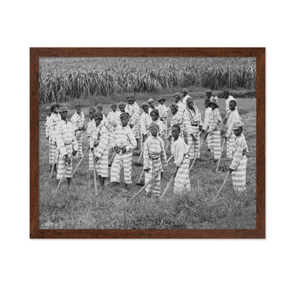 Juvenile Convict Labor 1903