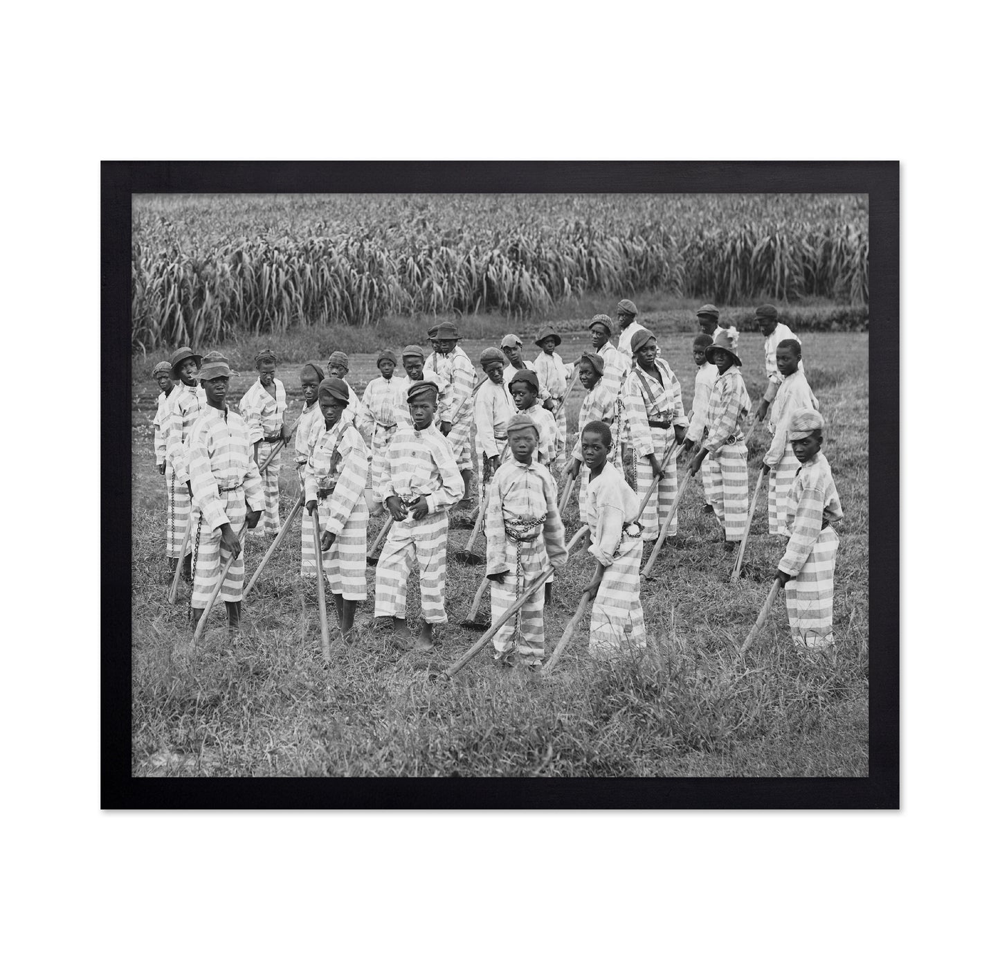 Juvenile Convict Labor 1903