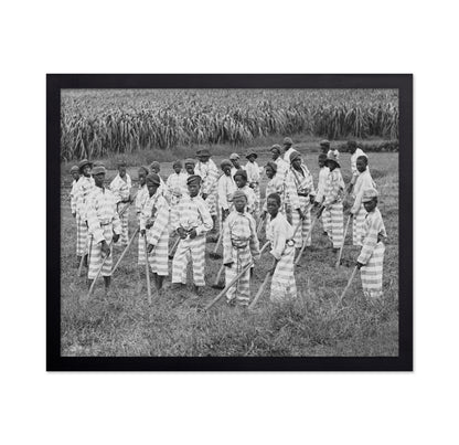 Juvenile Convict Labor 1903