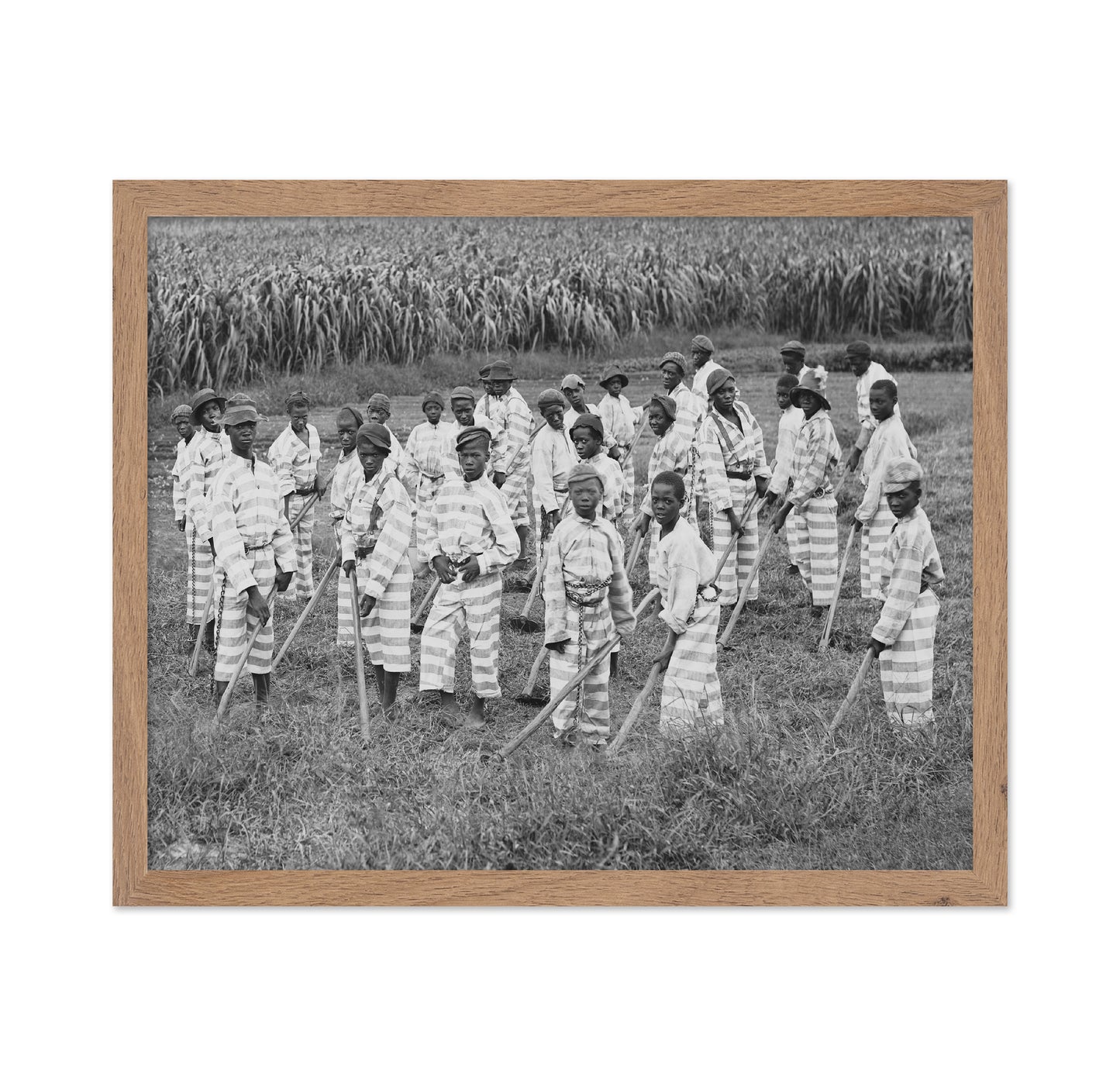 Juvenile Convict Labor 1903