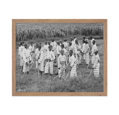 Juvenile Convict Labor 1903